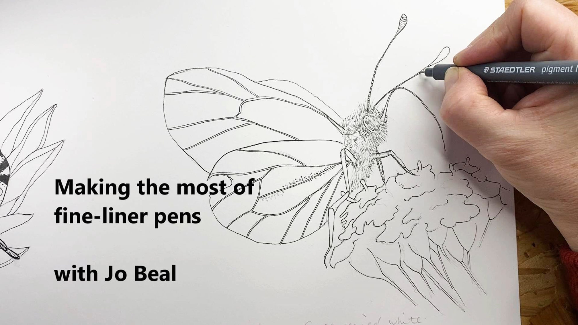 Making the most of fine-liner pens - Monthly subscription video taster